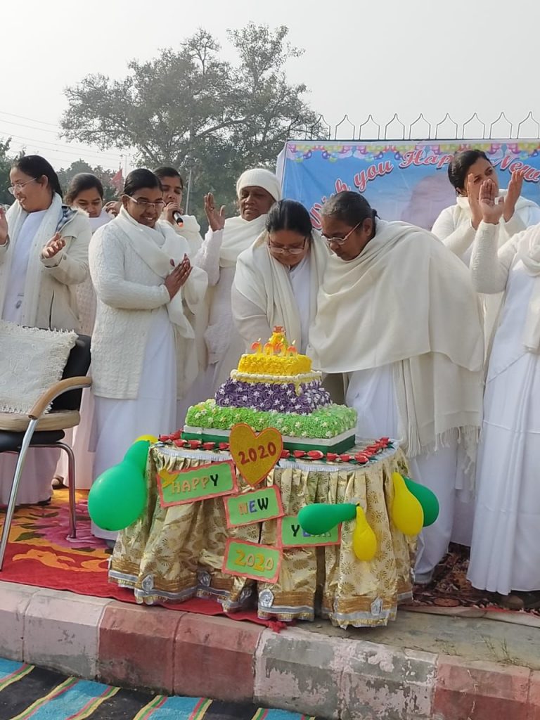 New Year Celebration and picnic